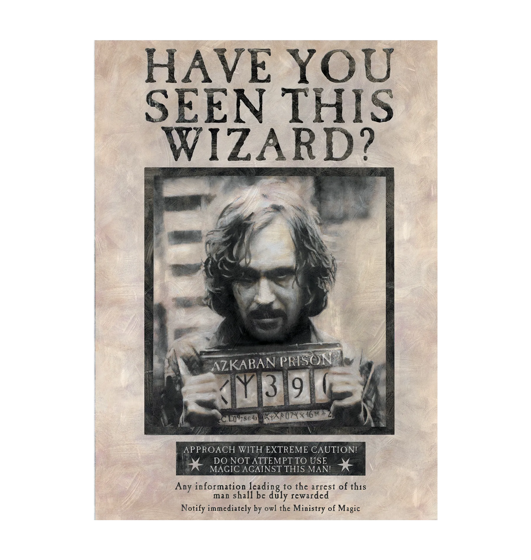 Have You Seen This Wizard Personalised Poster