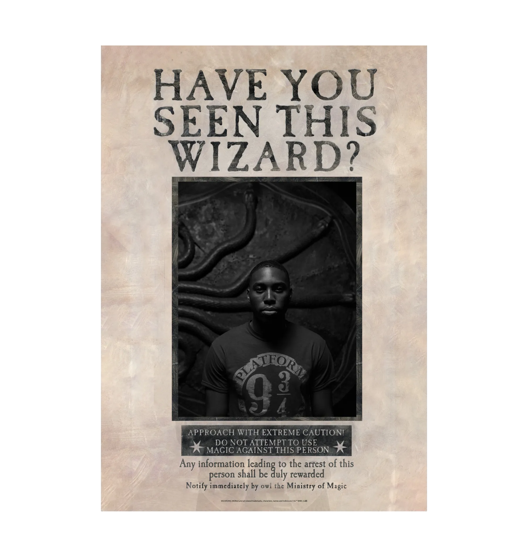 Have You Seen This Wizard Personalised Poster