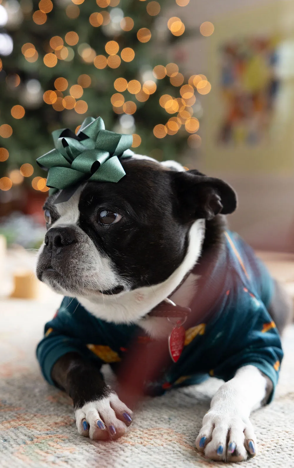 Holiday Garland Pet Pajamas