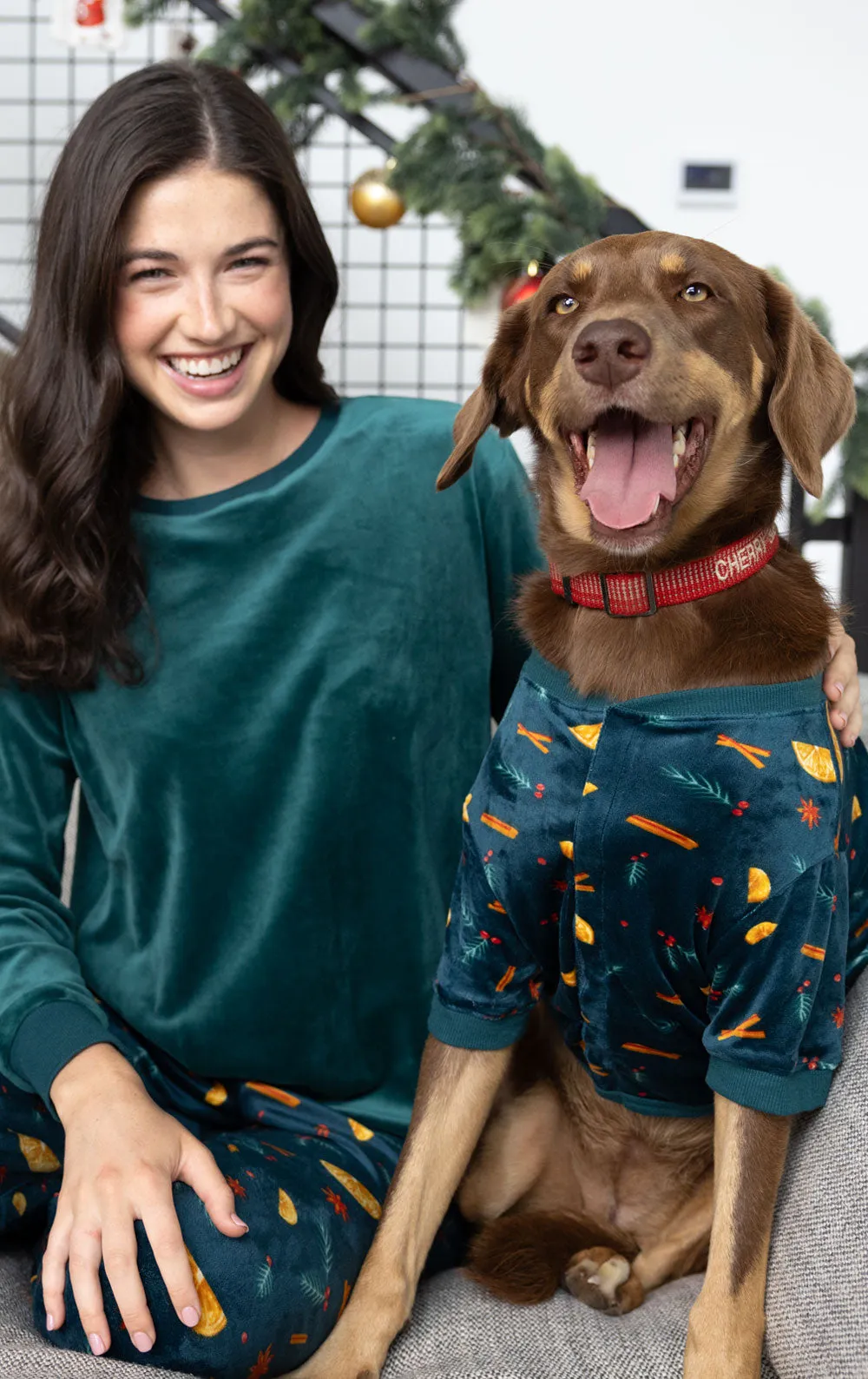 Holiday Garland Women's Velour Pajamas- Pet & Owner