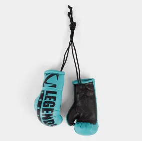 Legends Mini Boxing Gloves