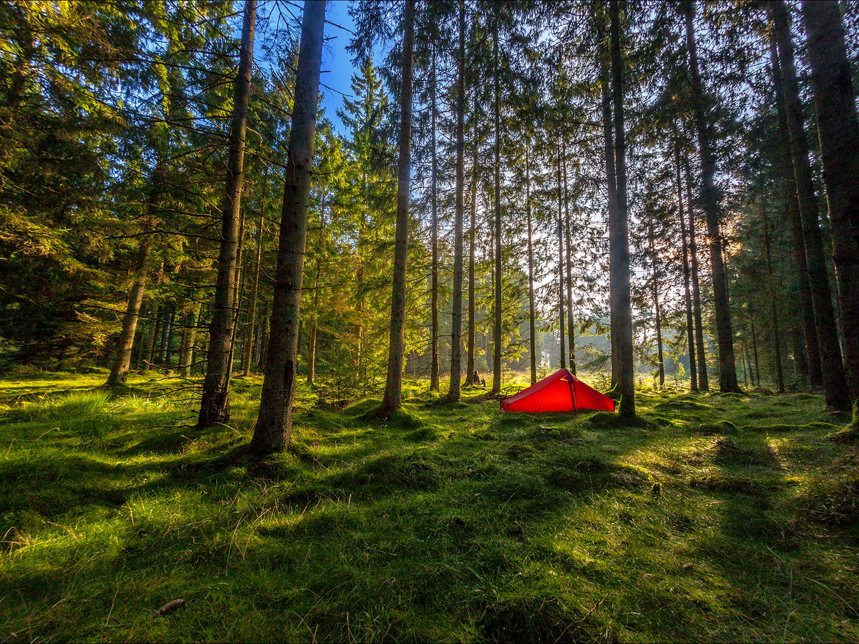 Telemark 2 LW tent - 2 person - Burnt Red